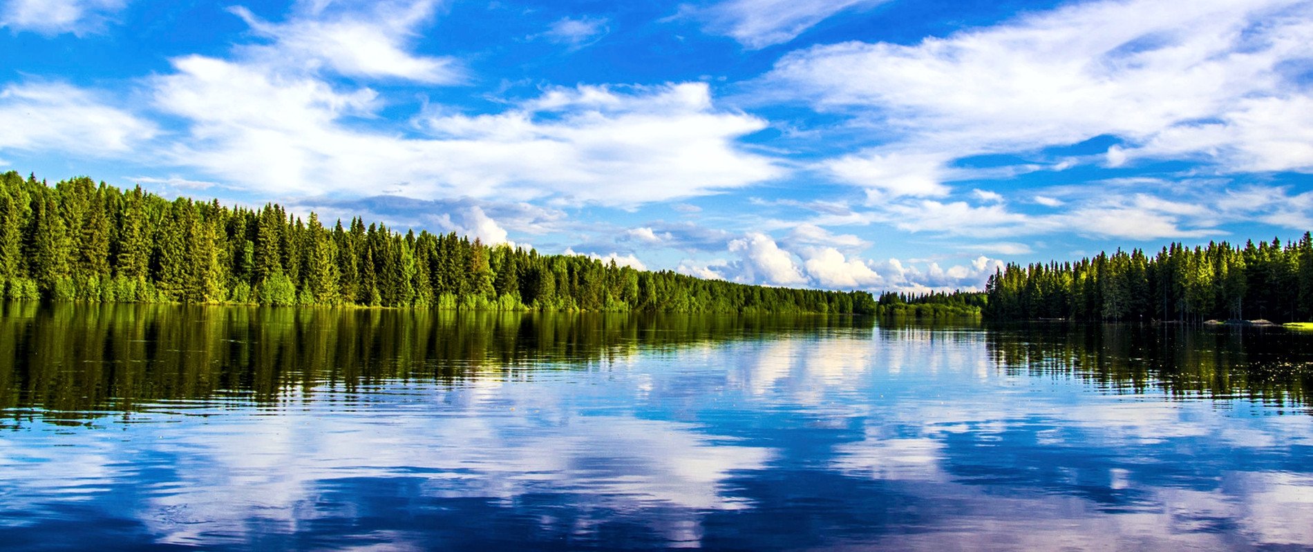 Lake in Khanty Mansi Autonomous Okrug, Russia