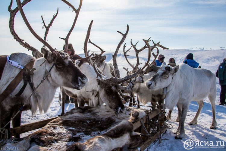 TOR Yakutia